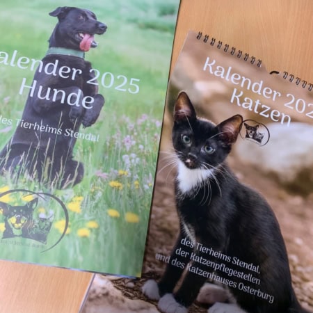 Kalender 2025
